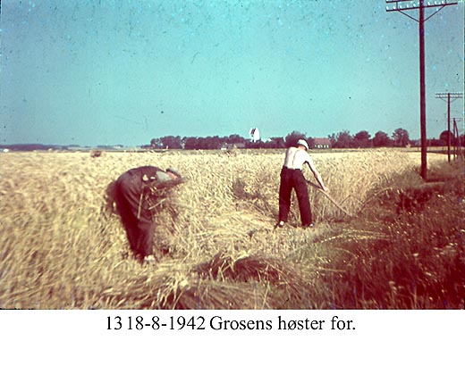Grosen høster - 1942 Grosen høster - 1942