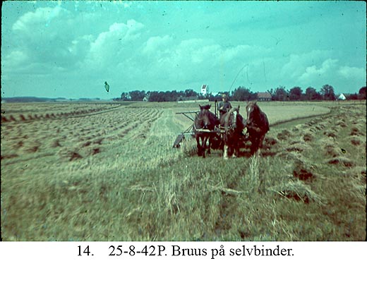 Bruus på selvbinder - 1942 Bruus på selvbinder - 1942