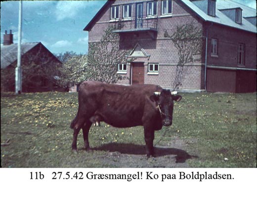 Egå Efterskole - 1942 Egå Efterskole - 1942