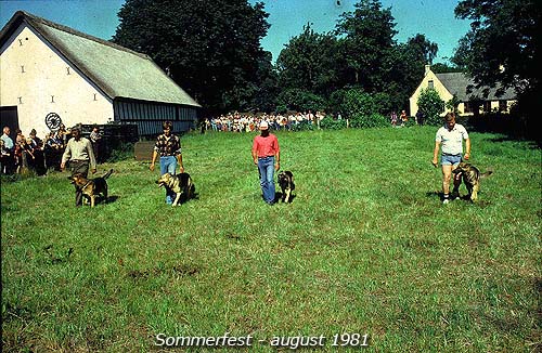 Marken i 1981 Marken i 1981