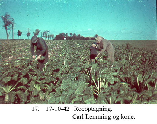 Roeoptagning af Carl Lemming og kone - 1942 Roeoptagning af Carl Lemming og kone - 1942