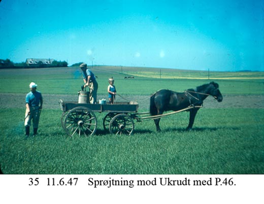 Ukrudtsprøjtning på efterskolens mark - 1947 Ukrudtsprøjtning på efterskolens mark - 1947